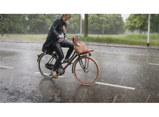 kussen slijtage taart Fietsgigant - de grootste en goedkoopste fietsenwinkel van Nederland
